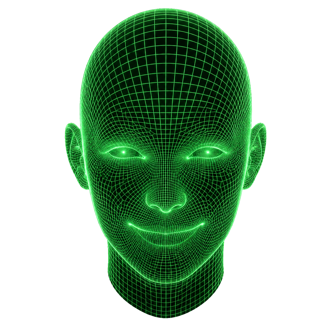 Wireframe biométrico Idonia